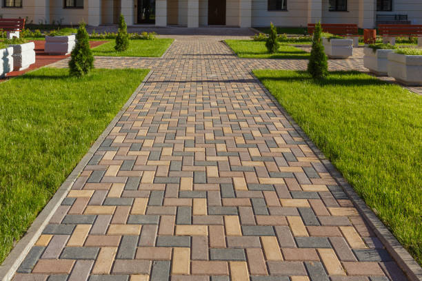 Best Custom Driveway Pavers  in Daisetta, TX